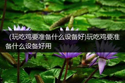 （玩吃鸡要准备什么设备好)玩吃鸡要准备什么设备好用