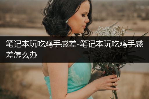 笔记本玩吃鸡手感差-笔记本玩吃鸡手感差怎么办