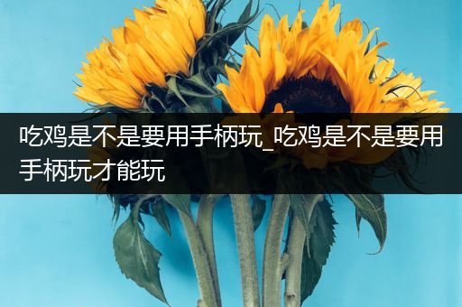 吃鸡是不是要用手柄玩_吃鸡是不是要用手柄玩才能玩
