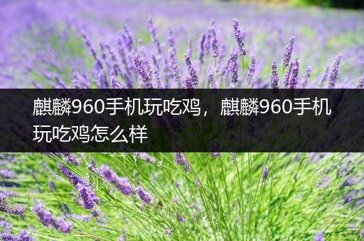麒麟960手机玩吃鸡，麒麟960手机玩吃鸡怎么样