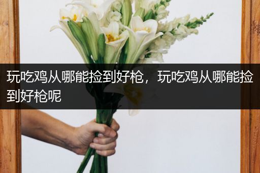 玩吃鸡从哪能捡到好枪，玩吃鸡从哪能捡到好枪呢