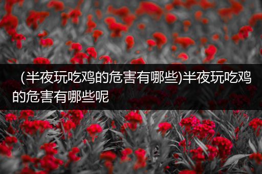 （半夜玩吃鸡的危害有哪些)半夜玩吃鸡的危害有哪些呢