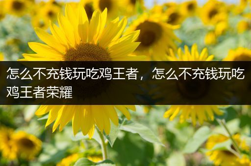 怎么不充钱玩吃鸡王者，怎么不充钱玩吃鸡王者荣耀