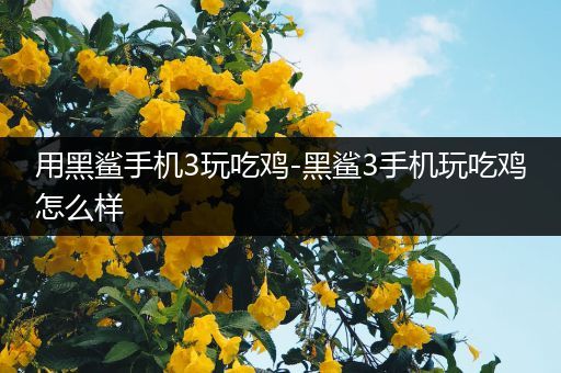 用黑鲨手机3玩吃鸡-黑鲨3手机玩吃鸡怎么样