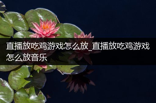 直播放吃鸡游戏怎么放_直播放吃鸡游戏怎么放音乐