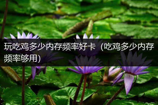 玩吃鸡多少内存频率好卡（吃鸡多少内存频率够用）