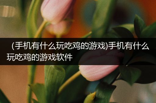 （手机有什么玩吃鸡的游戏)手机有什么玩吃鸡的游戏软件