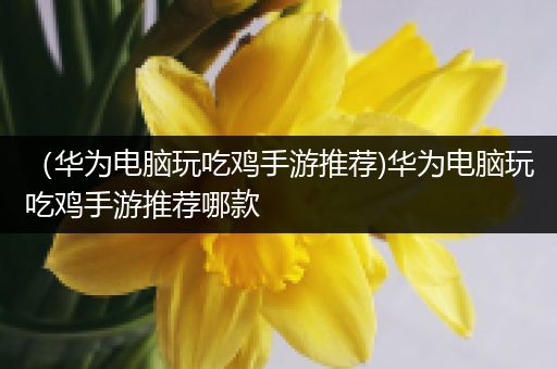 （华为电脑玩吃鸡手游推荐)华为电脑玩吃鸡手游推荐哪款