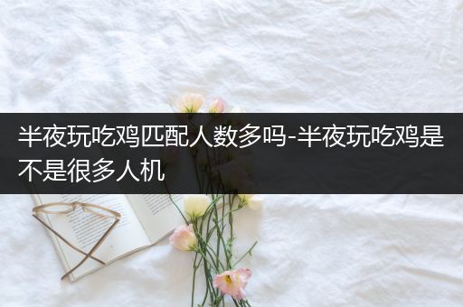 半夜玩吃鸡匹配人数多吗-半夜玩吃鸡是不是很多人机