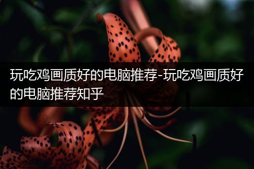 玩吃鸡画质好的电脑推荐-玩吃鸡画质好的电脑推荐知乎