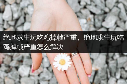 绝地求生玩吃鸡掉帧严重，绝地求生玩吃鸡掉帧严重怎么解决