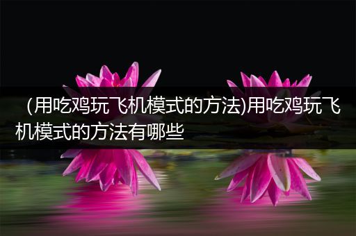 （用吃鸡玩飞机模式的方法)用吃鸡玩飞机模式的方法有哪些