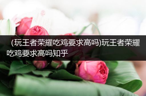 （玩王者荣耀吃鸡要求高吗)玩王者荣耀吃鸡要求高吗知乎