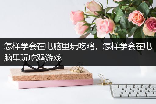 怎样学会在电脑里玩吃鸡，怎样学会在电脑里玩吃鸡游戏