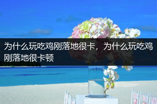 为什么玩吃鸡刚落地很卡，为什么玩吃鸡刚落地很卡顿