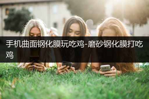 手机曲面钢化膜玩吃鸡-磨砂钢化膜打吃鸡