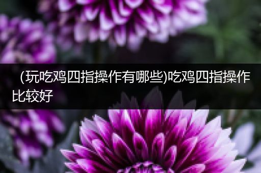 （玩吃鸡四指操作有哪些)吃鸡四指操作比较好