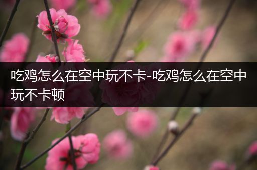 吃鸡怎么在空中玩不卡-吃鸡怎么在空中玩不卡顿