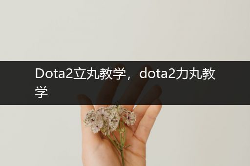Dota2立丸教学，dota2力丸教学