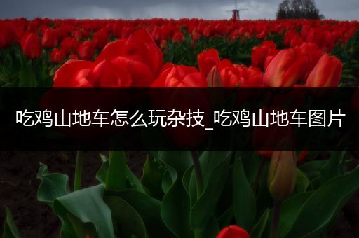 吃鸡山地车怎么玩杂技_吃鸡山地车图片
