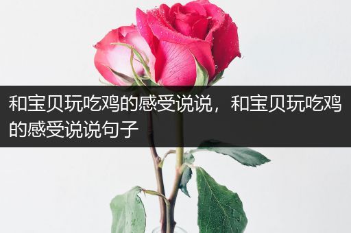 和宝贝玩吃鸡的感受说说，和宝贝玩吃鸡的感受说说句子