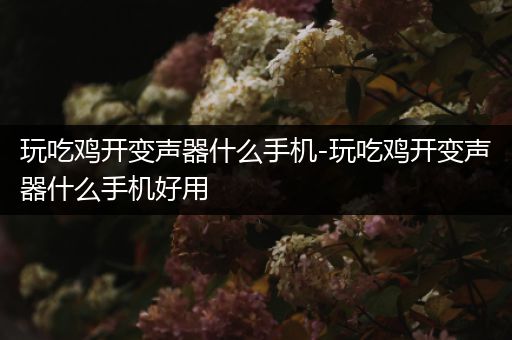玩吃鸡开变声器什么手机-玩吃鸡开变声器什么手机好用
