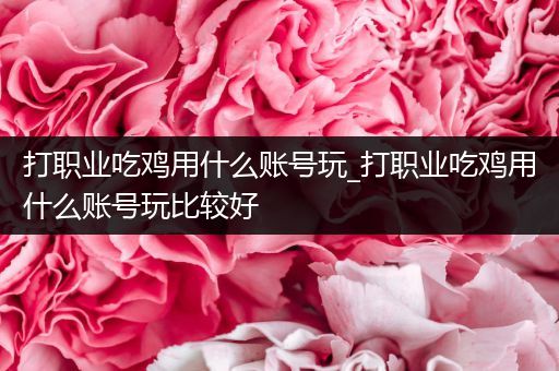 打职业吃鸡用什么账号玩_打职业吃鸡用什么账号玩比较好