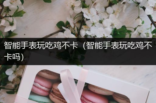 智能手表玩吃鸡不卡（智能手表玩吃鸡不卡吗）
