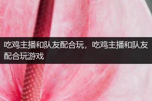 吃鸡主播和队友配合玩，吃鸡主播和队友配合玩游戏