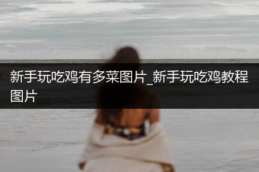 新手玩吃鸡有多菜图片_新手玩吃鸡教程图片