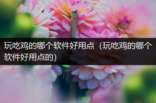 玩吃鸡的哪个软件好用点（玩吃鸡的哪个软件好用点的）
