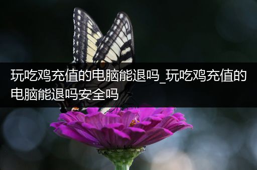玩吃鸡充值的电脑能退吗_玩吃鸡充值的电脑能退吗安全吗