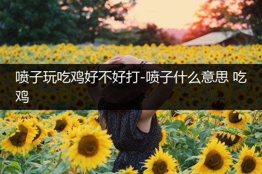 喷子玩吃鸡好不好打-喷子什么意思 吃鸡