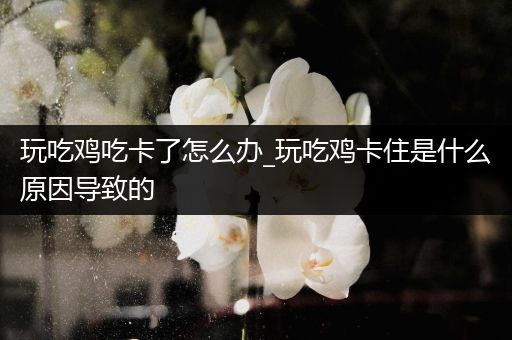 玩吃鸡吃卡了怎么办_玩吃鸡卡住是什么原因导致的