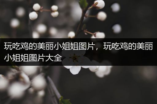 玩吃鸡的美丽小姐姐图片，玩吃鸡的美丽小姐姐图片大全