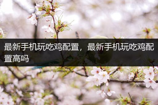 最新手机玩吃鸡配置，最新手机玩吃鸡配置高吗