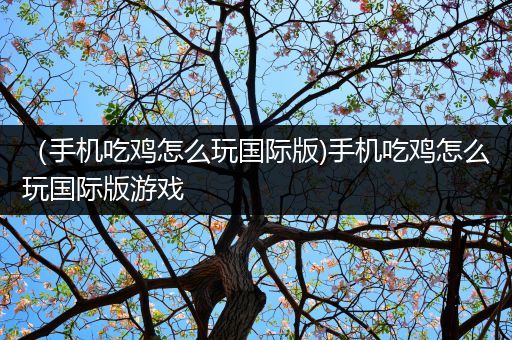 （手机吃鸡怎么玩国际版)手机吃鸡怎么玩国际版游戏