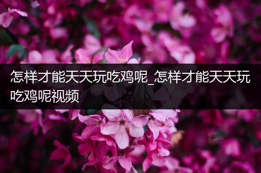 怎样才能天天玩吃鸡呢_怎样才能天天玩吃鸡呢视频