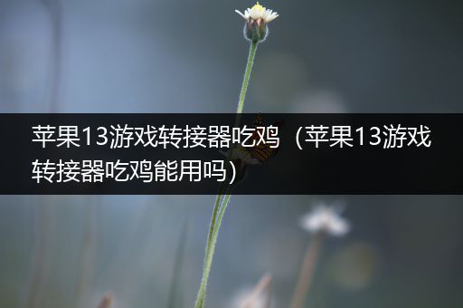 苹果13游戏转接器吃鸡（苹果13游戏转接器吃鸡能用吗）