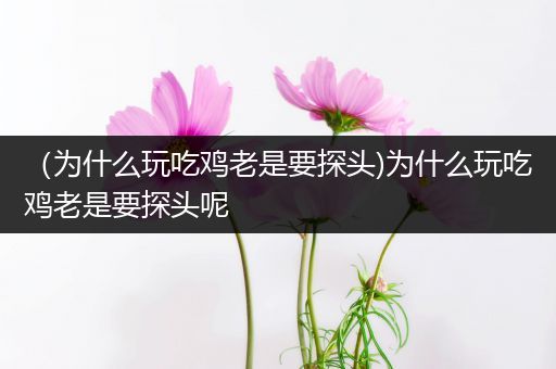（为什么玩吃鸡老是要探头)为什么玩吃鸡老是要探头呢