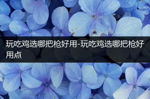 玩吃鸡选哪把枪好用-玩吃鸡选哪把枪好用点