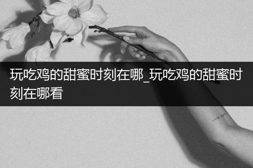 玩吃鸡的甜蜜时刻在哪_玩吃鸡的甜蜜时刻在哪看
