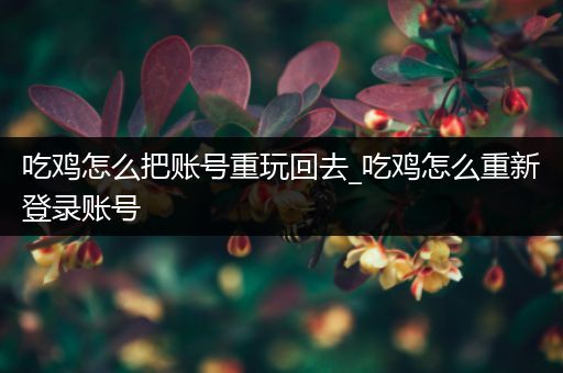 吃鸡怎么把账号重玩回去_吃鸡怎么重新登录账号