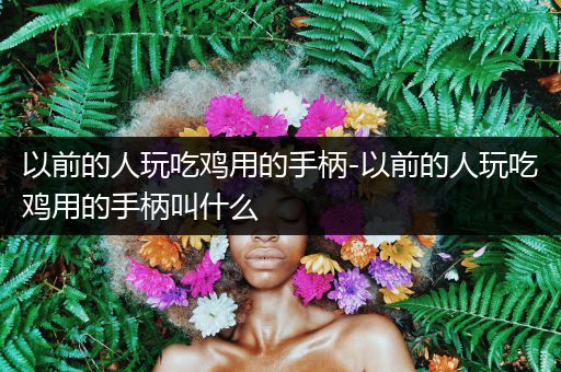 以前的人玩吃鸡用的手柄-以前的人玩吃鸡用的手柄叫什么