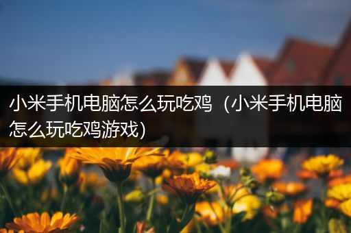 小米手机电脑怎么玩吃鸡（小米手机电脑怎么玩吃鸡游戏）