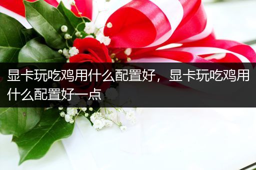 显卡玩吃鸡用什么配置好，显卡玩吃鸡用什么配置好一点