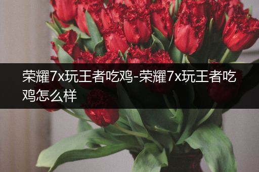 荣耀7x玩王者吃鸡-荣耀7x玩王者吃鸡怎么样