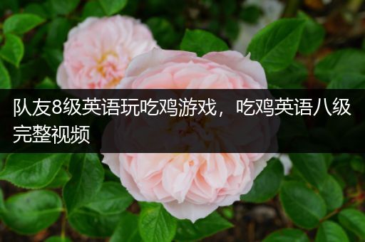 队友8级英语玩吃鸡游戏，吃鸡英语八级完整视频