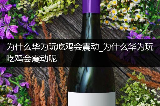 为什么华为玩吃鸡会震动_为什么华为玩吃鸡会震动呢