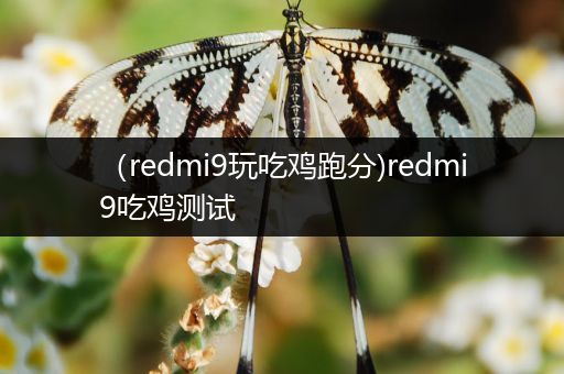 （redmi9玩吃鸡跑分)redmi9吃鸡测试